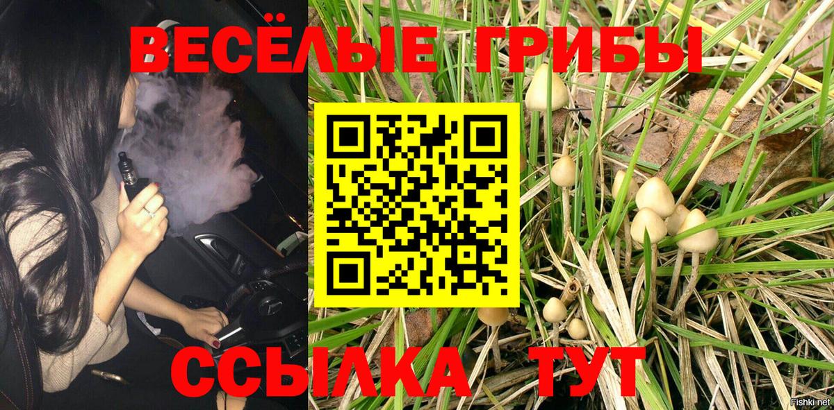 Псилоцибиновые грибы мицелий Добрянка